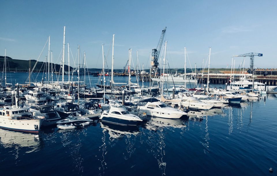 pexels-sam-woodcock-707551 pexels-sam-woodcock-707551